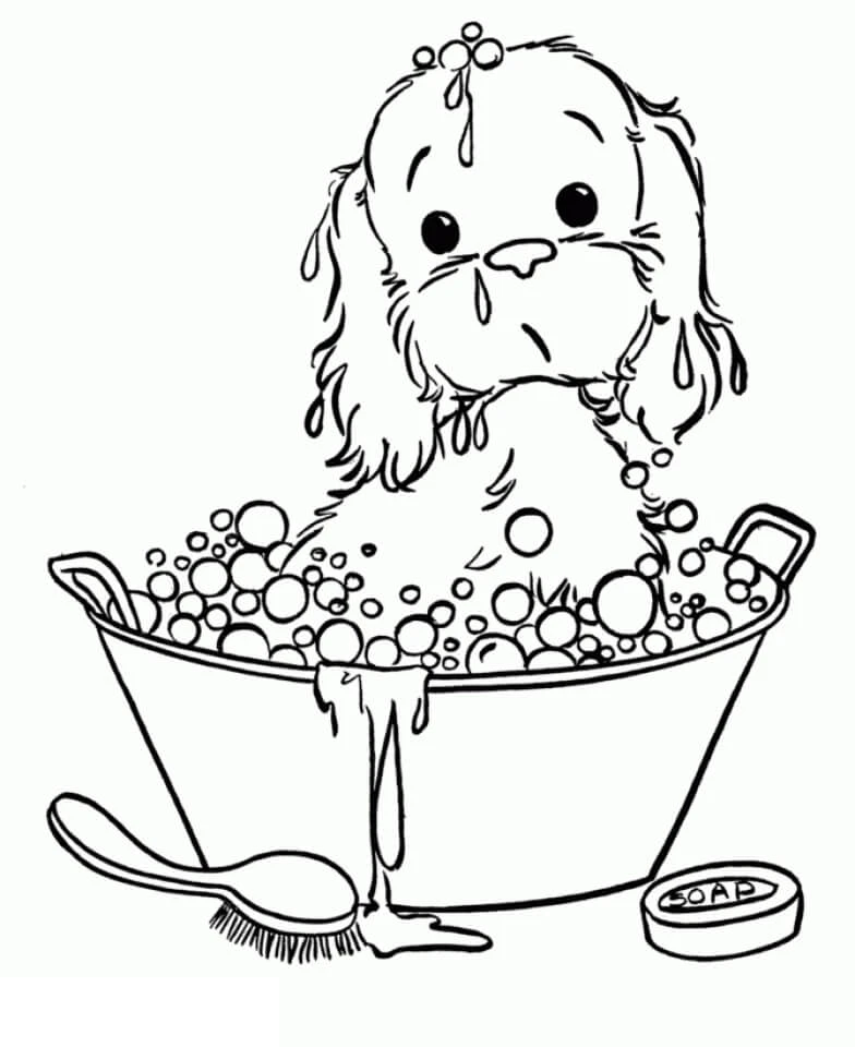 Köpek Yavrusu Boyama