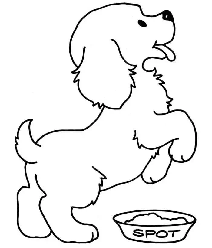 Köpek Yavrusu Boyama