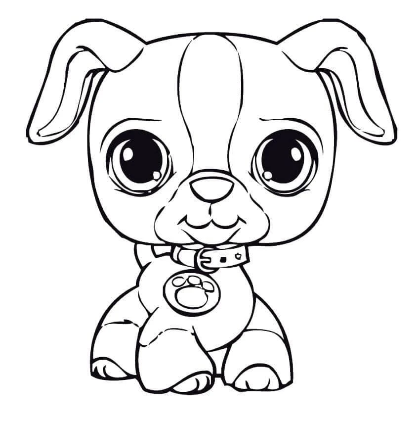 Köpek Yavrusu Boyama