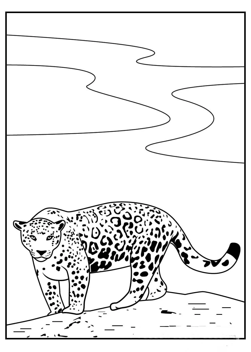 Jaguar boyama sayfası – sanatsal çalışma, çocuklar için
