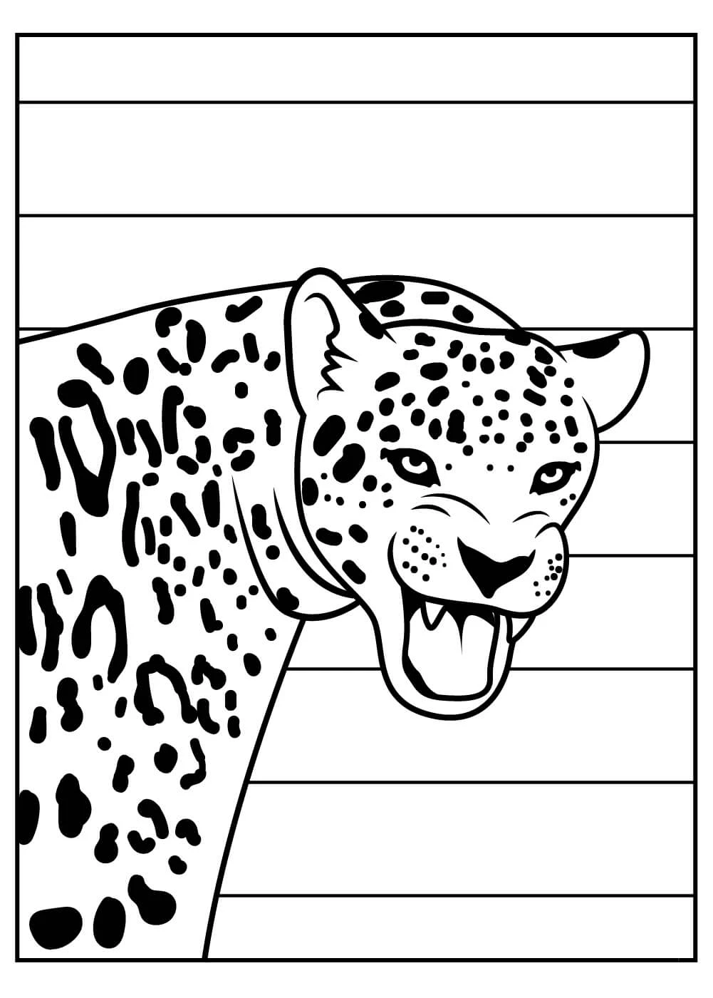 Jaguar boyama sayfası – sevimli karakter, sanatsal çalışma
