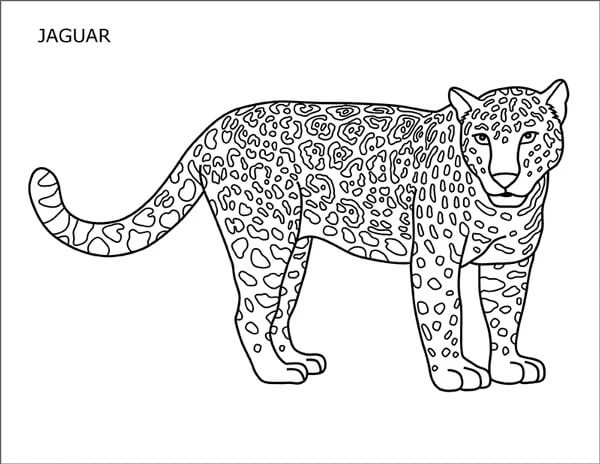 Jaguar boyama sayfası – el becerilerini geliştirir, boyama çalışması