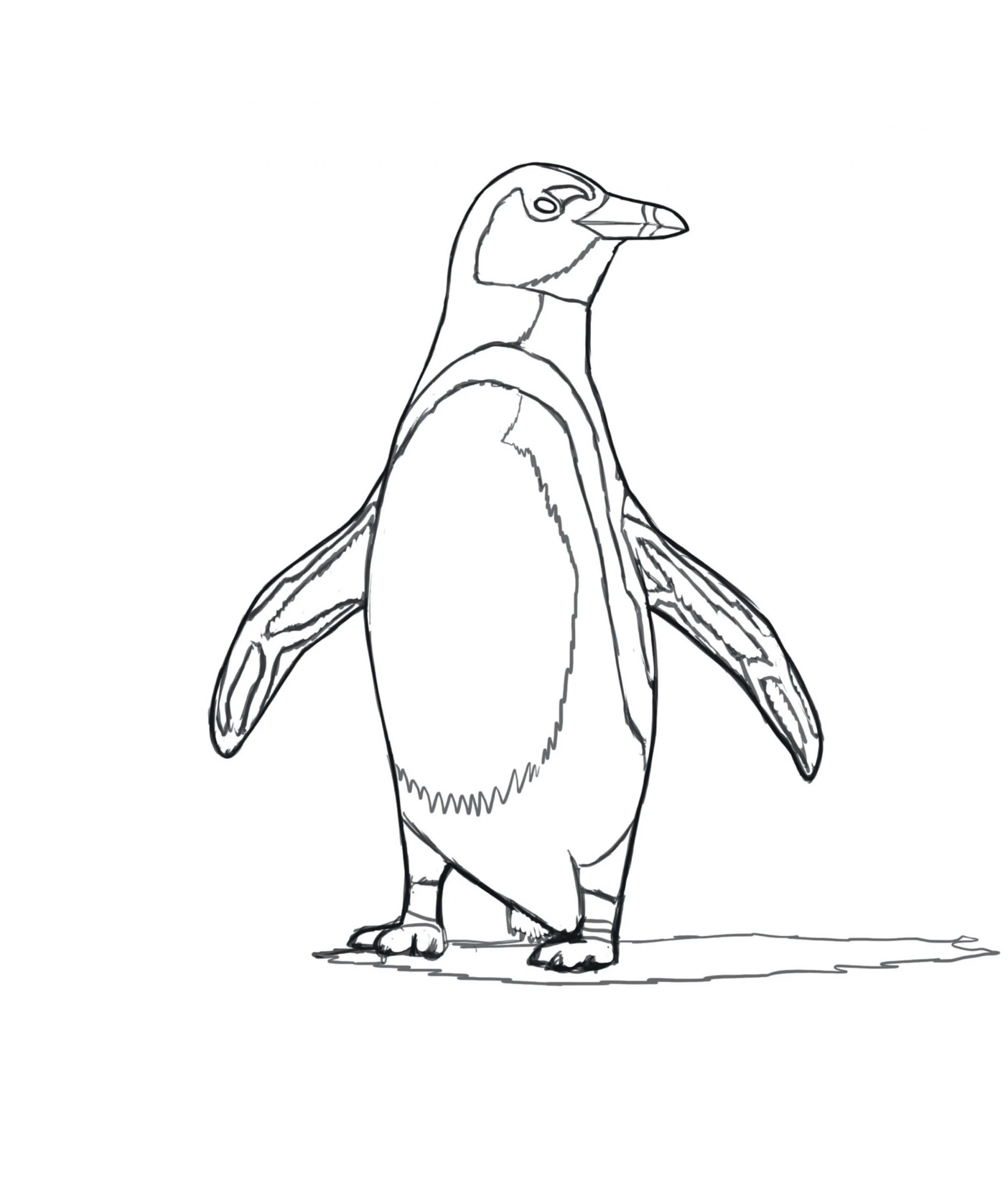 Penguen boyama sayfası – çizgi film temalı, basit çizim