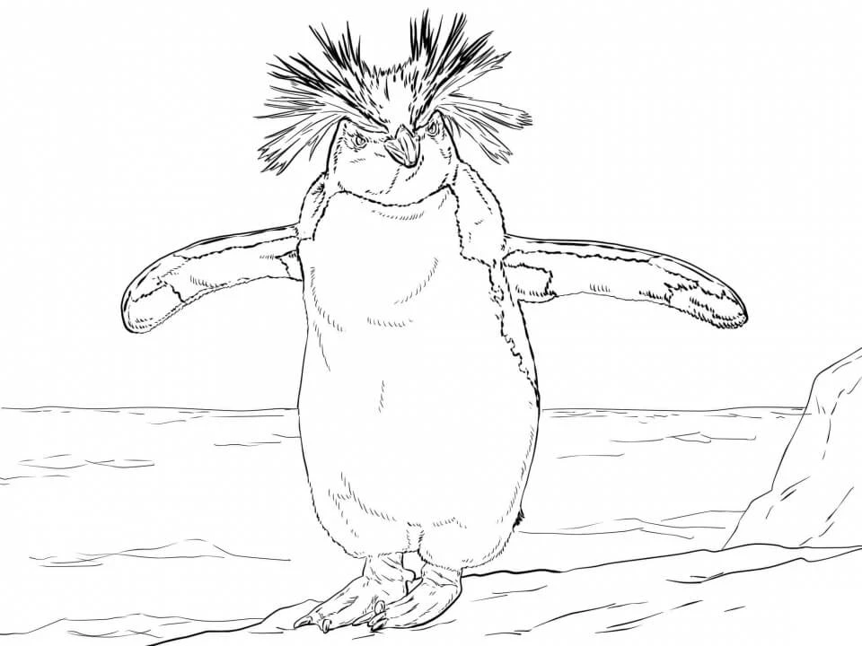 Penguen boyama sayfası – eğitici aktivite, yaratıcılık