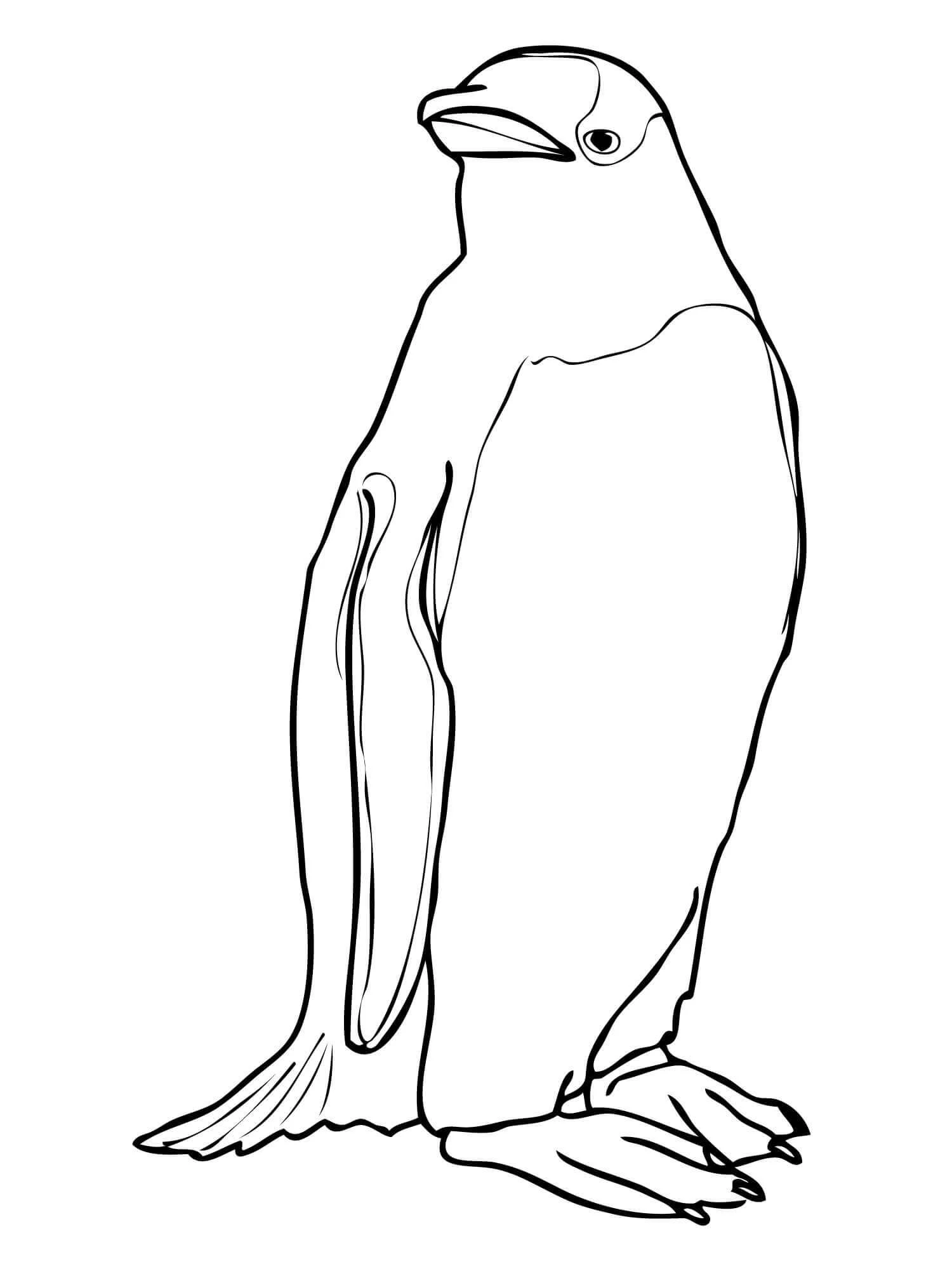 Penguen boyama sayfası – el becerilerini geliştirir, boyama çalışması