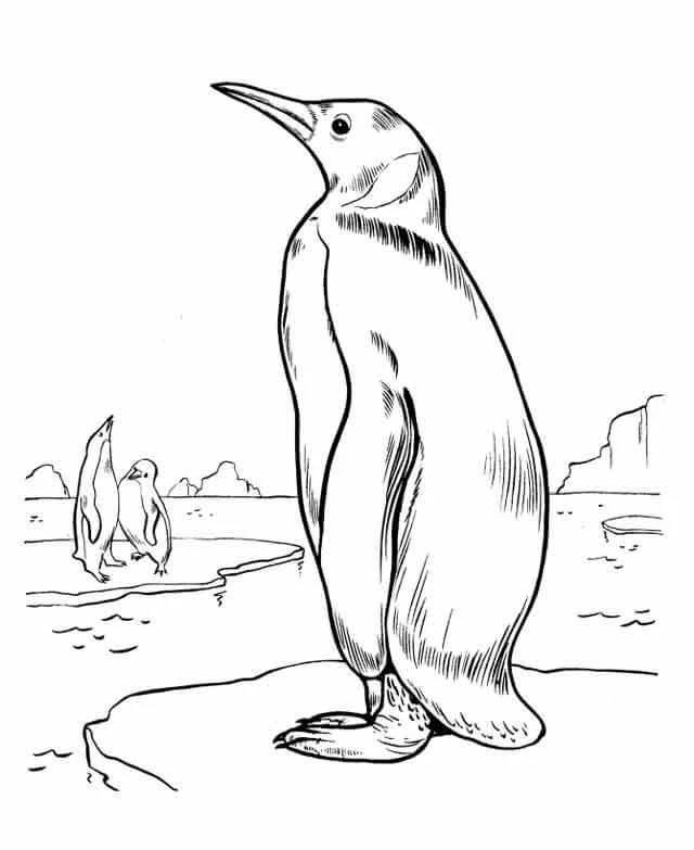 Penguen boyama sayfası – keyifli zaman, renkli çizimler