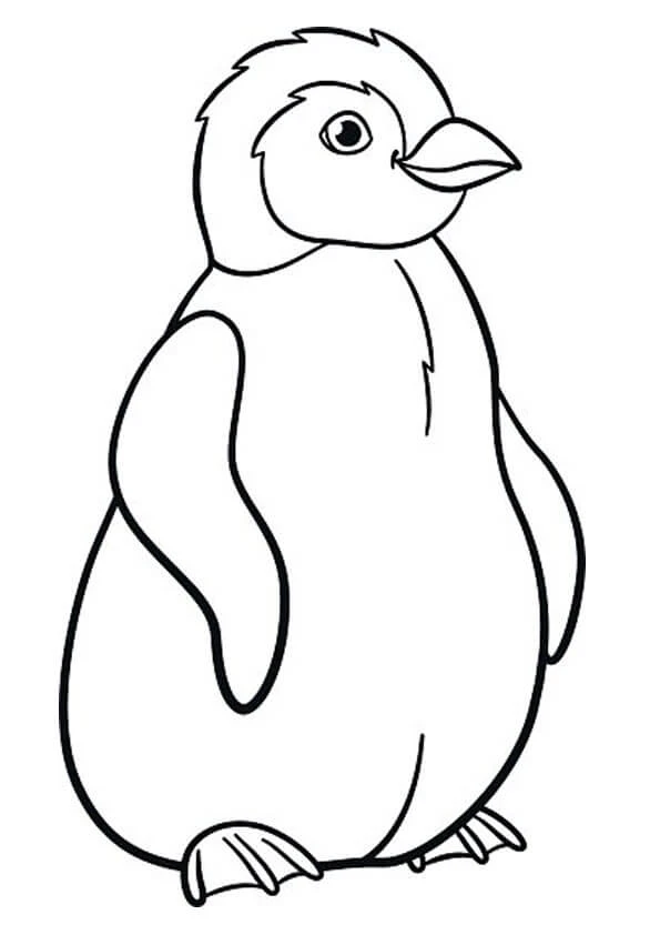 Penguen boyama sayfası – ücretsiz yazdır, boyama etkinliği