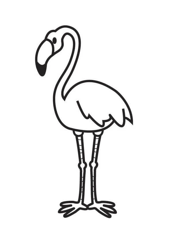Flamingo boyama sayfası – kolay boyama, eğitici aktivite