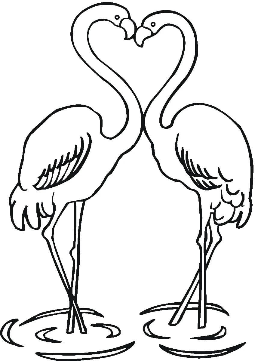 Flamingo boyama sayfası – eğitici aktivite, yaratıcılık