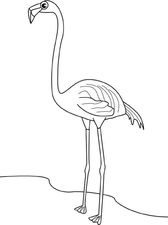 Flamingo boyama sayfası – evde etkinlik, ücretsiz yazdır