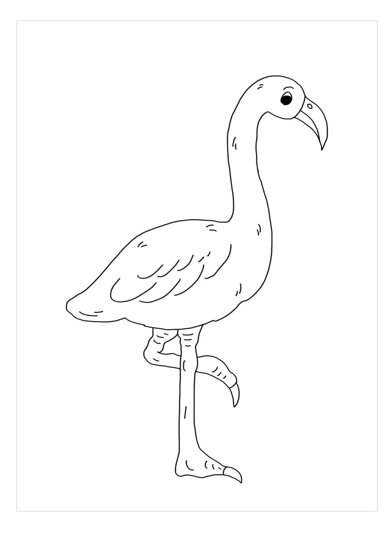 Flamingo boyama sayfası – boyama etkinliği, çocuk aktivitesi
