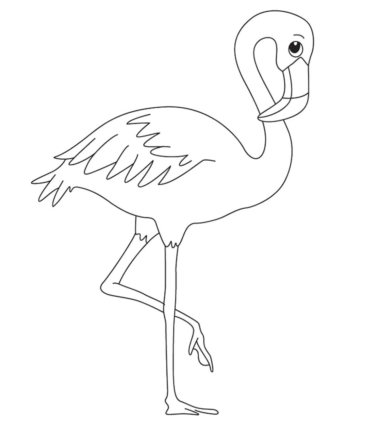 Flamingo boyama sayfası – eğitici aktivite, yaratıcılık