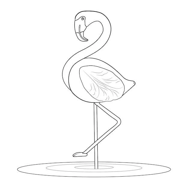 Flamingo boyama sayfası – okul öncesi, evde etkinlik