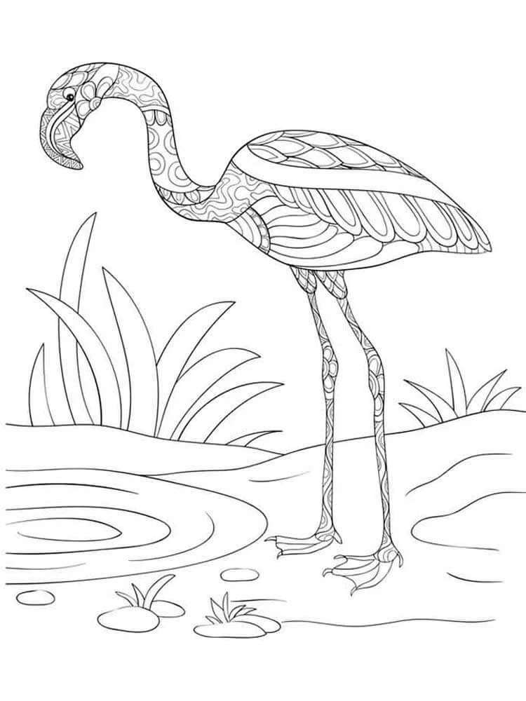 Flamingo boyama sayfası – sevimli karakter, sanatsal çalışma