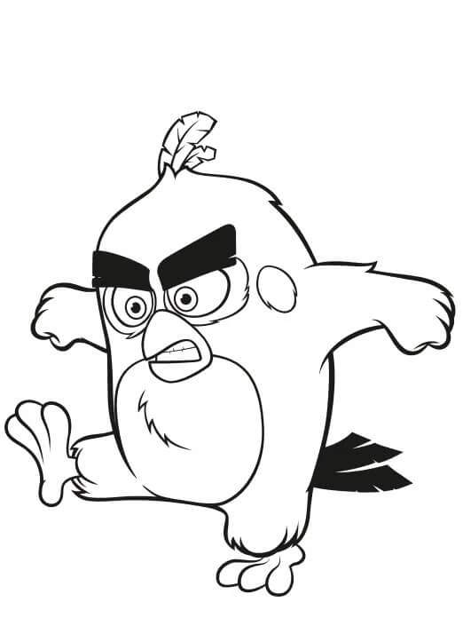 Angry Birds boyama sayfası – eğitici aktivite, yaratıcılık