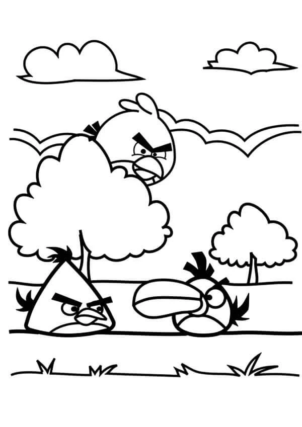 Angry Birds boyama sayfası – renkli çizimler, okul öncesi