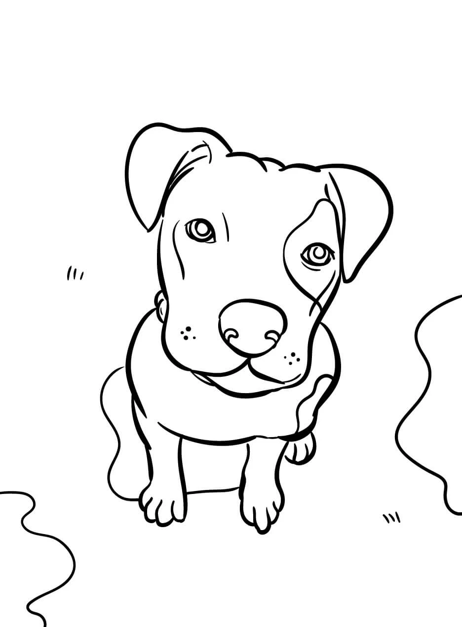 Köpek boyama sayfası #564 – eğitici aktivite, yaratıcılık