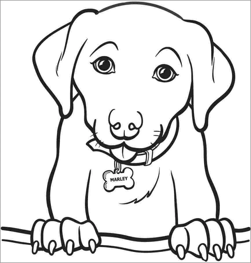 Köpek boyama sayfası #584 – sabır ve özgüven kazandırır, yaratıcı sanat çalışması