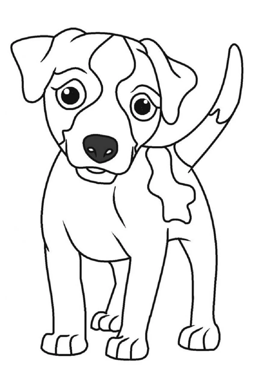 Köpek boyama sayfası #604 – eğitici aktivite, yaratıcılık