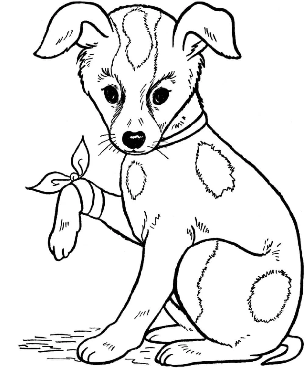 Köpek boyama sayfası #607 – evde etkinlik, anaokulu etkinliği