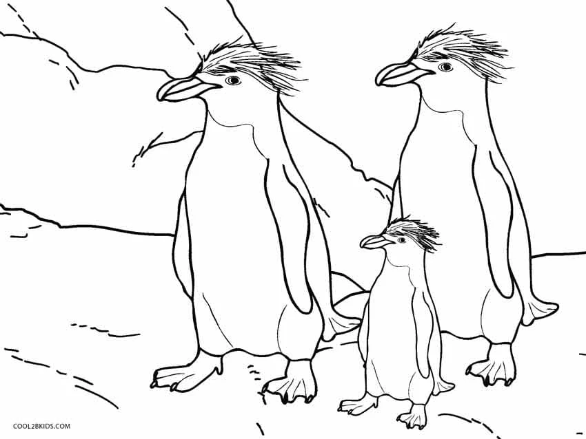 Penguenler boyama sayfası – basit çizim, kolay boyama