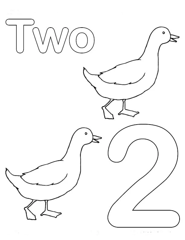 2 Rakamı (İki) Boyama