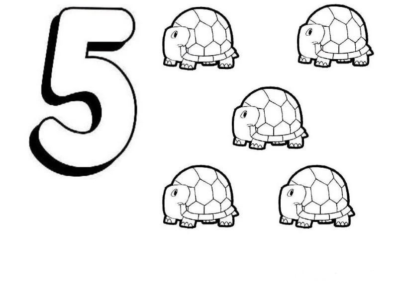 5 Rakamı (Beş) boyama sayfası – yaratıcılık, eğlenceli etkinlik