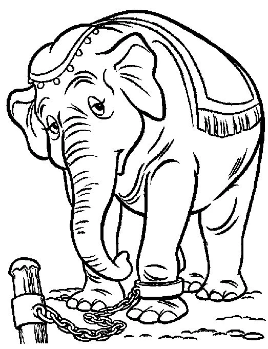Dumbo boyama sayfası – yaratıcılığı geliştirir, keyifli zaman