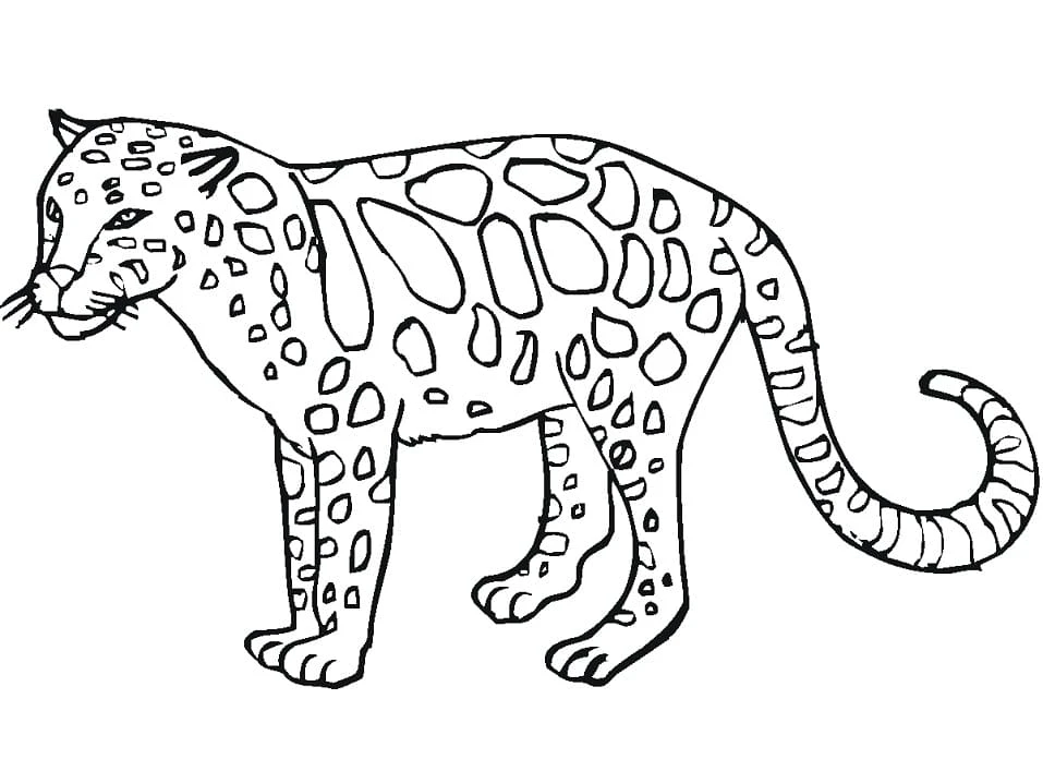 Leopar boyama sayfası – kolay boyama, eğitici aktivite