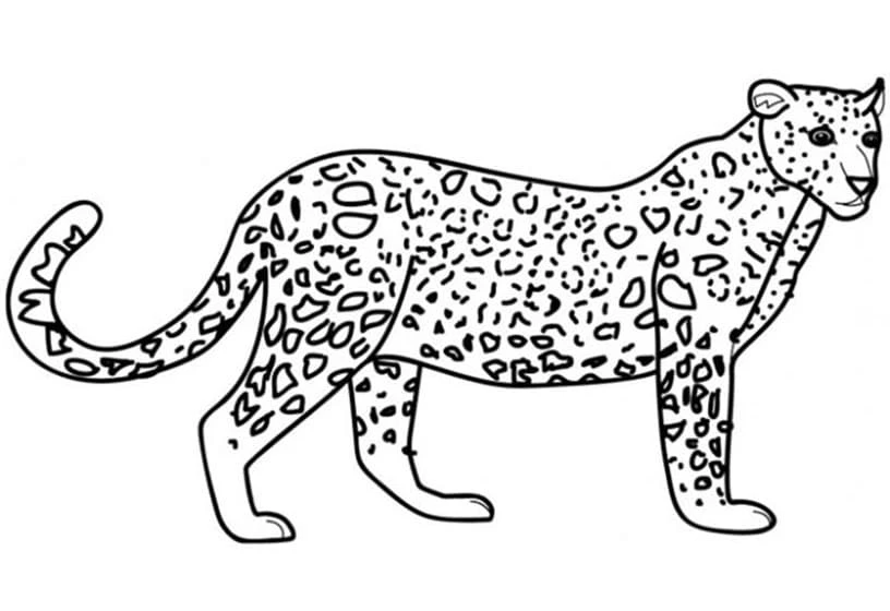 Leopar boyama sayfası – eğlenceli etkinlik, el becerilerini geliştirir