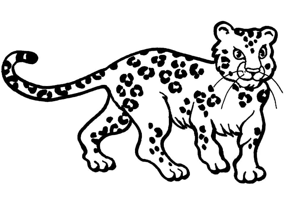 Leopar boyama sayfası – okul öncesi, evde etkinlik