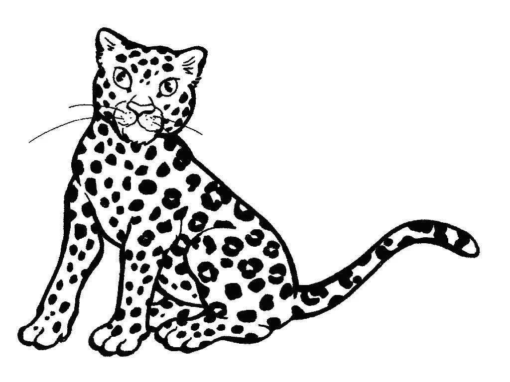 Leopar boyama sayfası – sevimli karakter, sanatsal çalışma