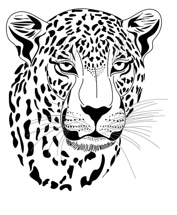 Leopar boyama sayfası – eğitici aktivite, yaratıcılık