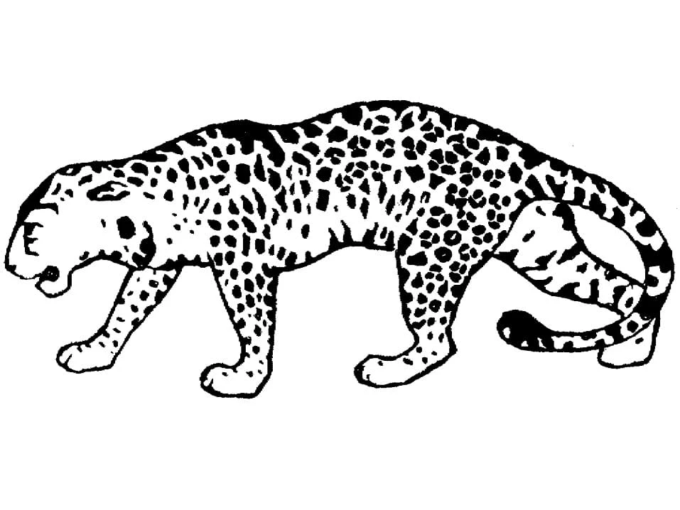 Leopar boyama sayfası – sanatsal çalışma, çocuklar için