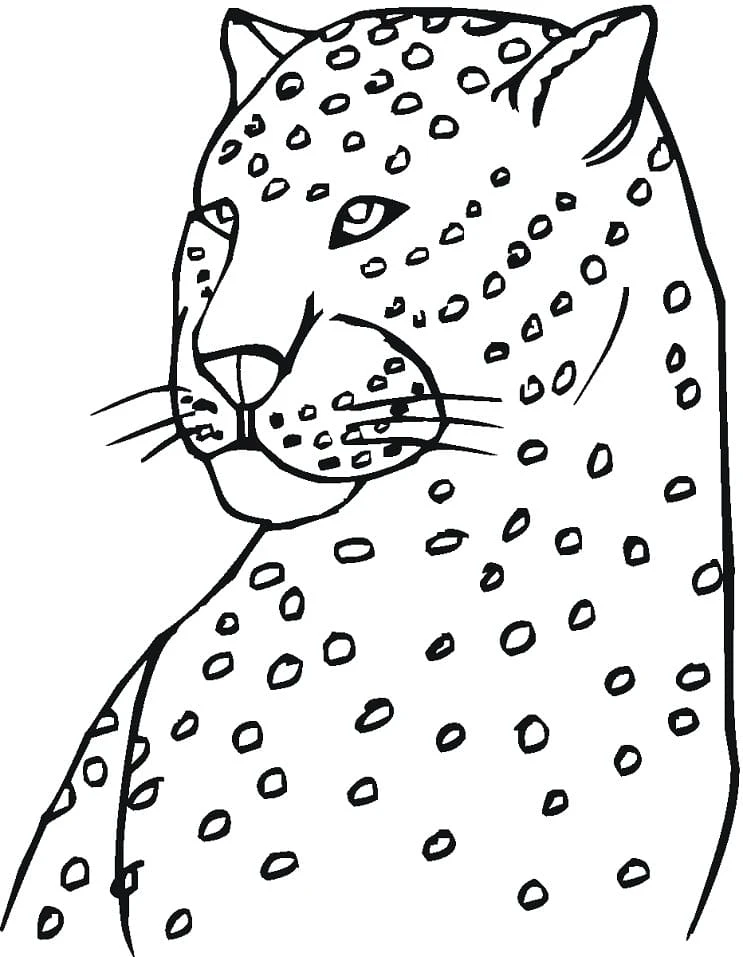 Leopar boyama sayfası – boyama çalışması, yaratıcılığı geliştirir