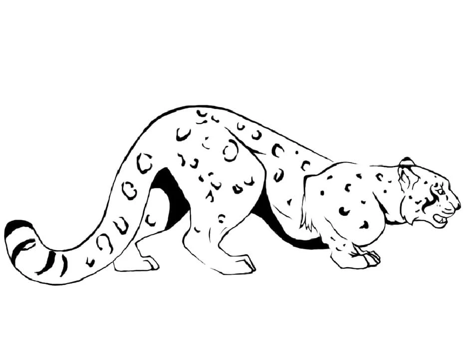 Leopar boyama sayfası – eğlenceli etkinlik, el becerilerini geliştirir
