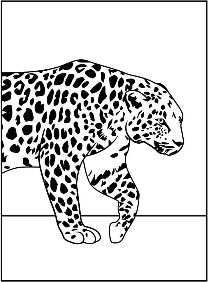 Leopar boyama sayfası – yaratıcılığı geliştirir, keyifli zaman
