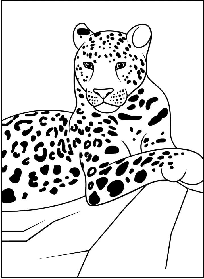 Leopar boyama sayfası – okul öncesi, evde etkinlik