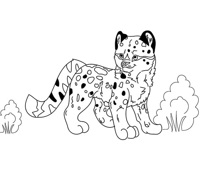 Leopar boyama sayfası – el becerilerini geliştirir, boyama çalışması