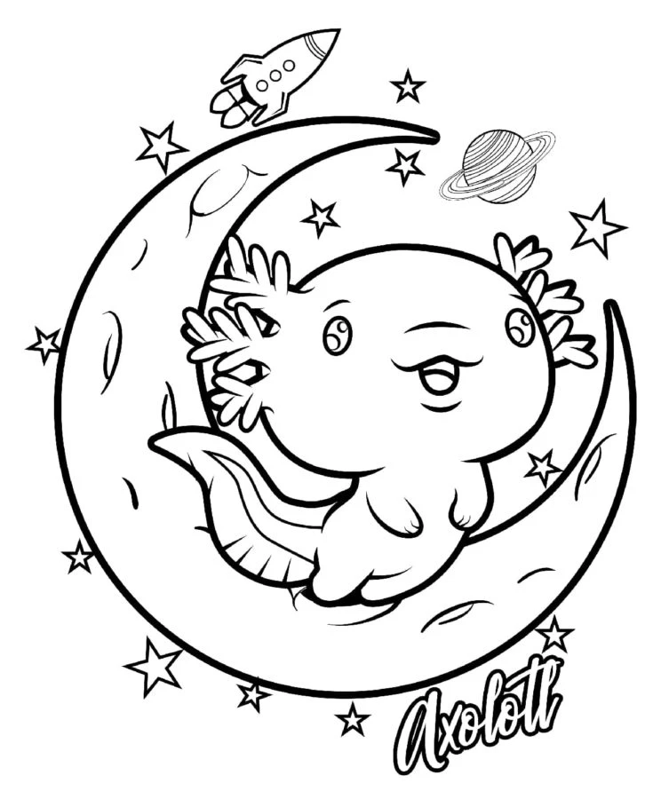 Axolotl boyama sayfası #27 – sevimli karakter, sanatsal çalışma