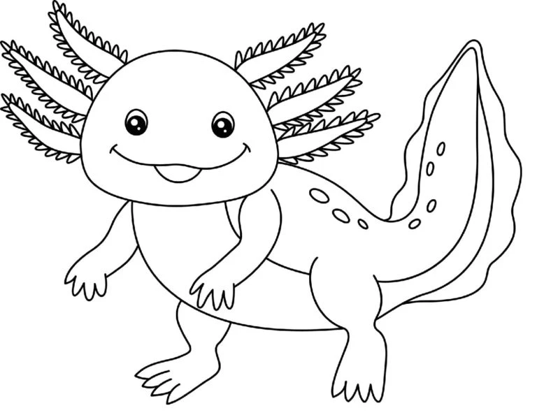 Axolotl boyama sayfası #48 – renk bilgisini öğretir, günlük etkinlik önerisi