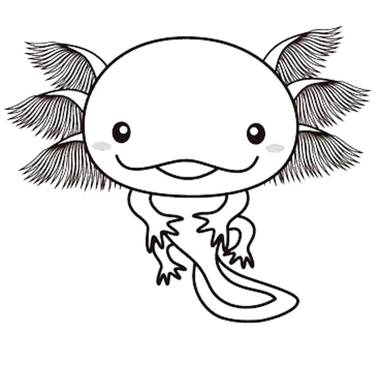 Axolotl boyama sayfası #64 – yaratıcılığı geliştirir, keyifli zaman