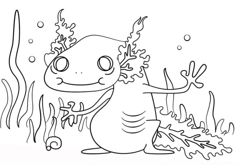 Axolotl boyama sayfası #69 – eğitici aktivite, yaratıcılık
