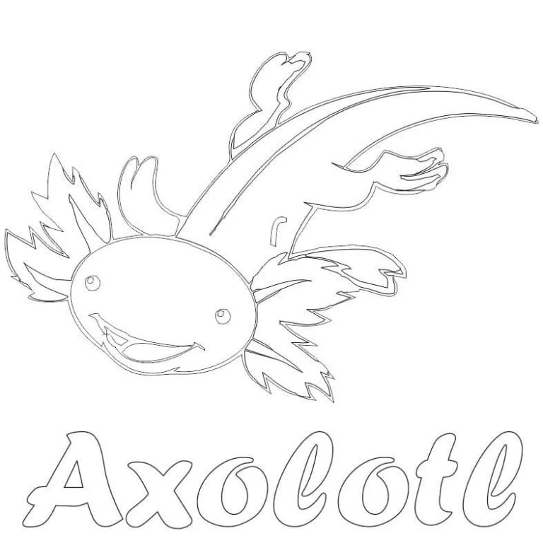 Axolotl boyama sayfası #72 – evde etkinlik, anaokulu etkinliği