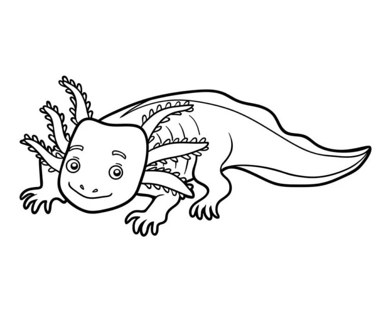 Axolotl boyama sayfası #82 – yaz tatili etkinliği, sabır ve özgüven kazandırır