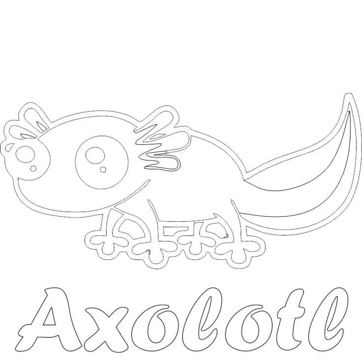 Axolotl boyama sayfası #93 – mürekkep tasarrufu sağlar, PDF indir