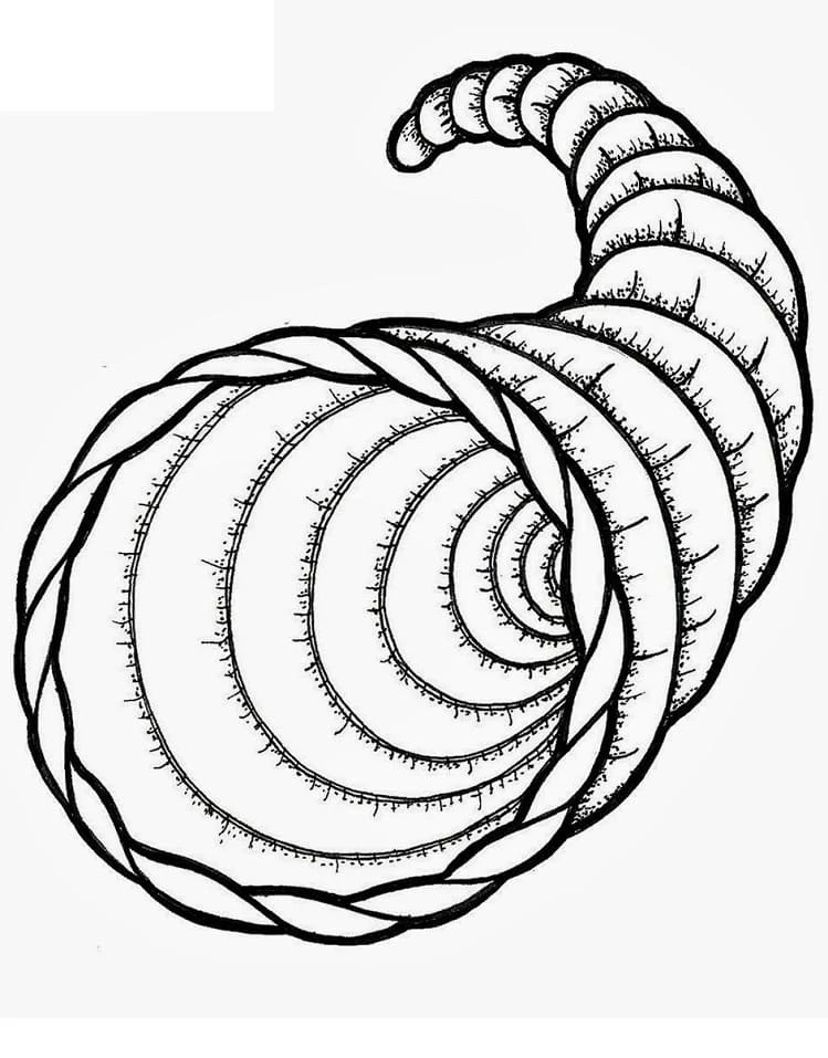 Cornucopia boyama sayfası – renkli çizimler, okul öncesi