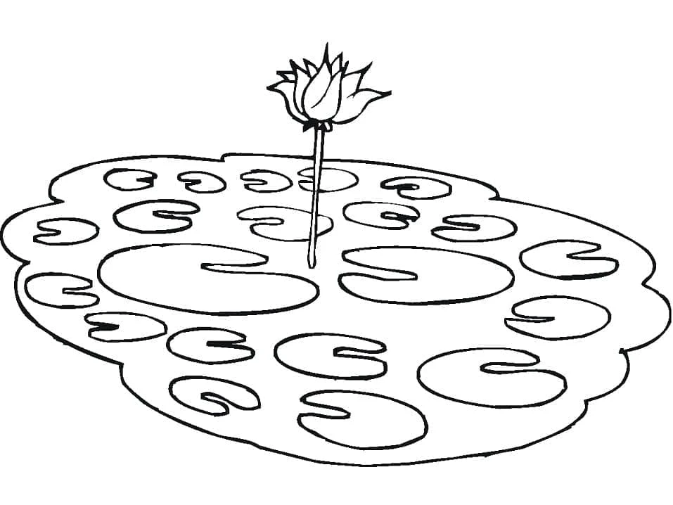 Lotus boyama sayfası – kolay boyama, eğitici aktivite