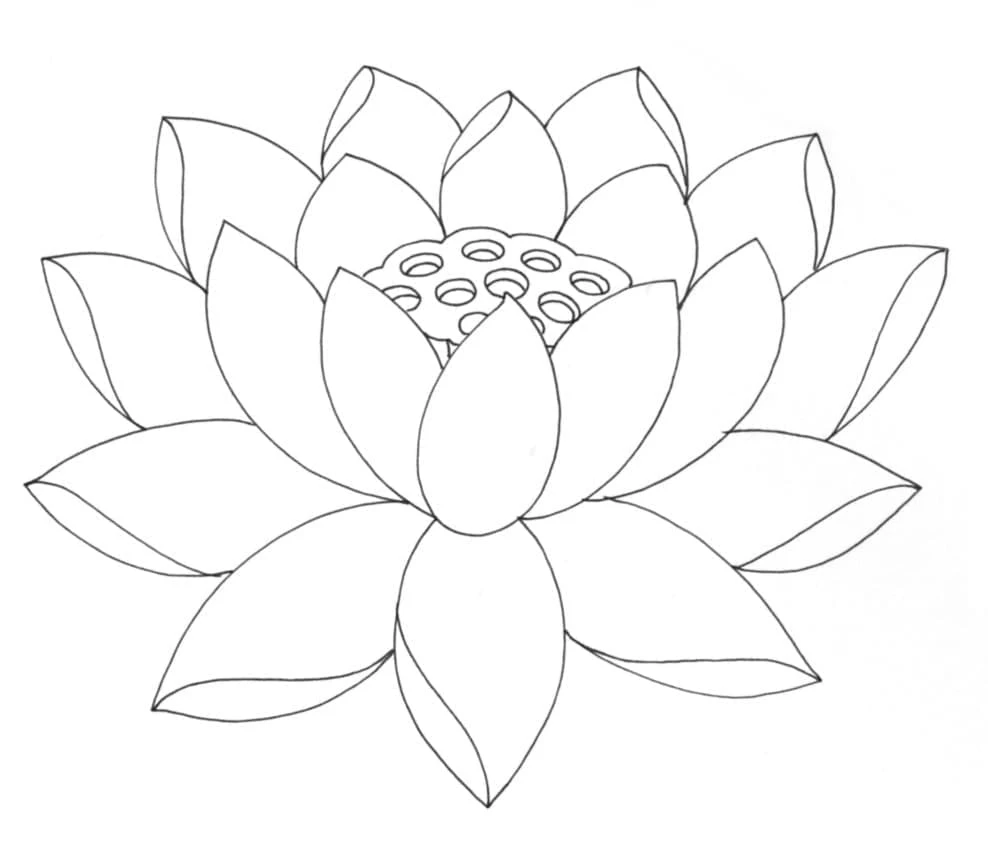 Lotus boyama sayfası – el becerilerini geliştirir, boyama çalışması