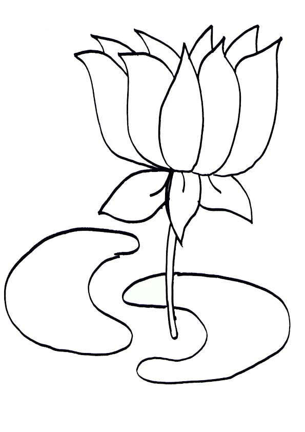 Lotus boyama sayfası – PDF indir, sevimli karakter